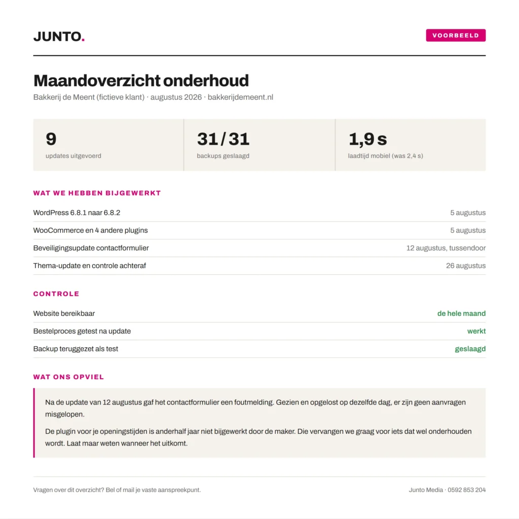 Voorbeeld van het maandoverzicht: uitgevoerde updates, geslaagde backups en de laadtijd